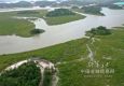 “海岸卫士”红树林